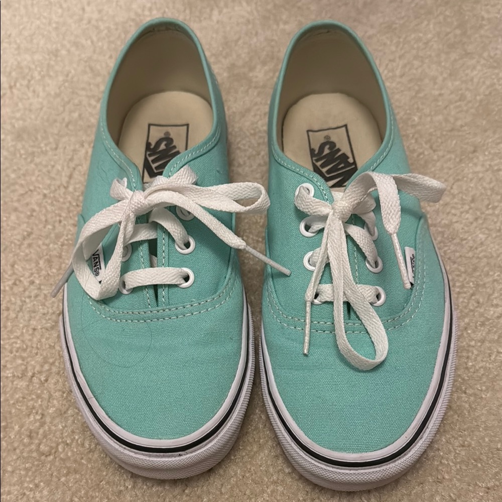 Vans Teal Canvas Sneakers